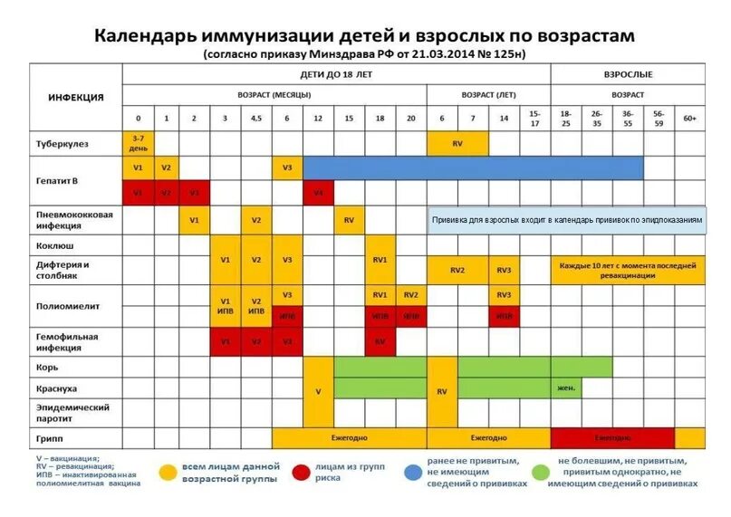 Прививки по графику. Календарь прививок. График вакцинации детей. Календарь прививок США.