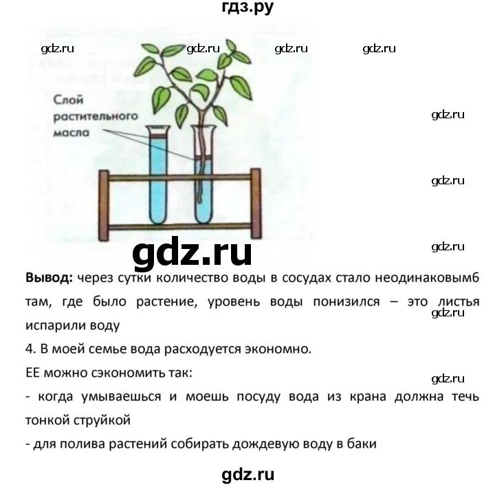 Параграф 23 биология 5 класс рабочая тетрадь