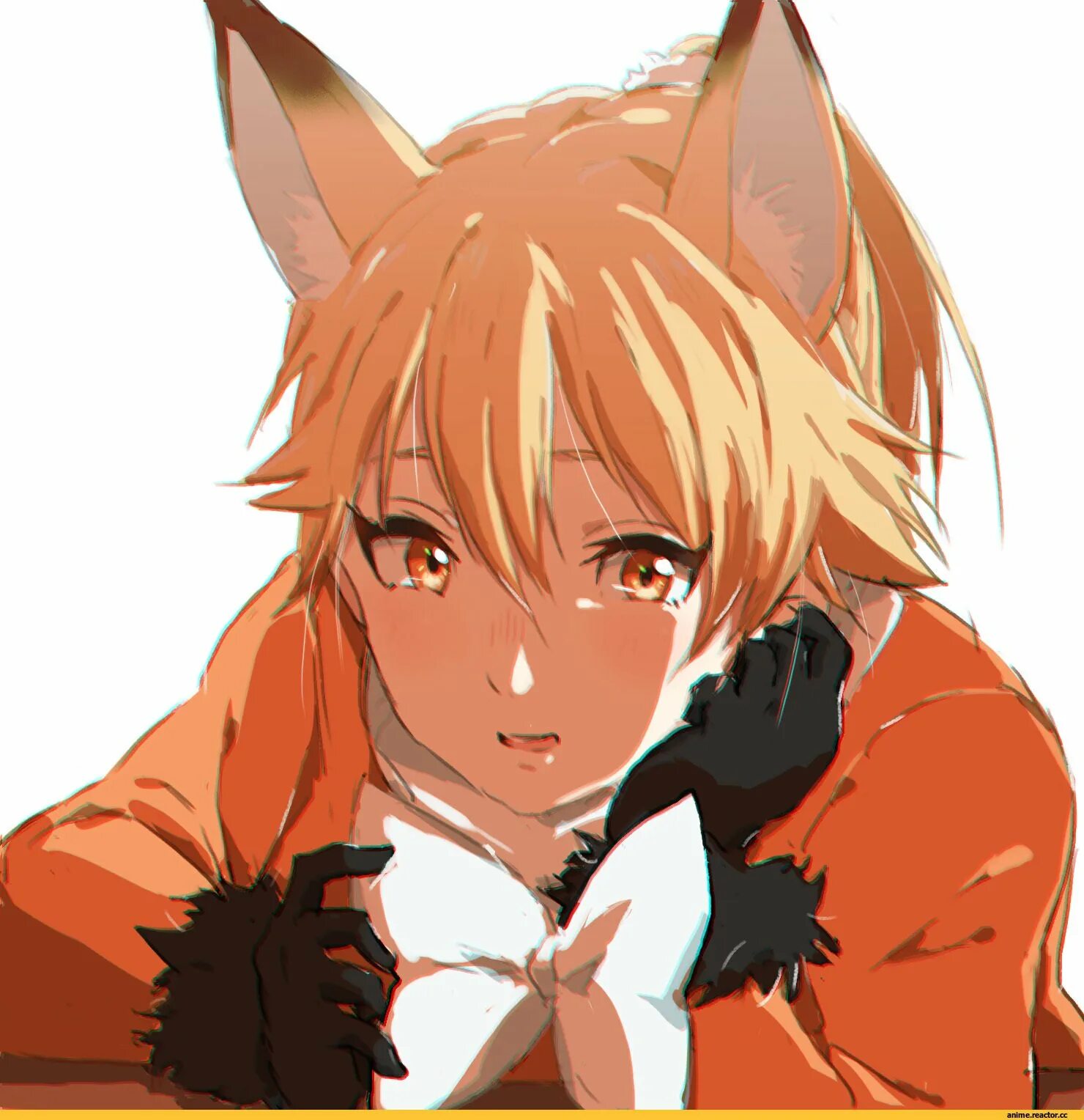 Фокс аниме мальчик. Кицунэ лис парень. Неко фокс аниме. Каден китсуне. Неко кун лис.