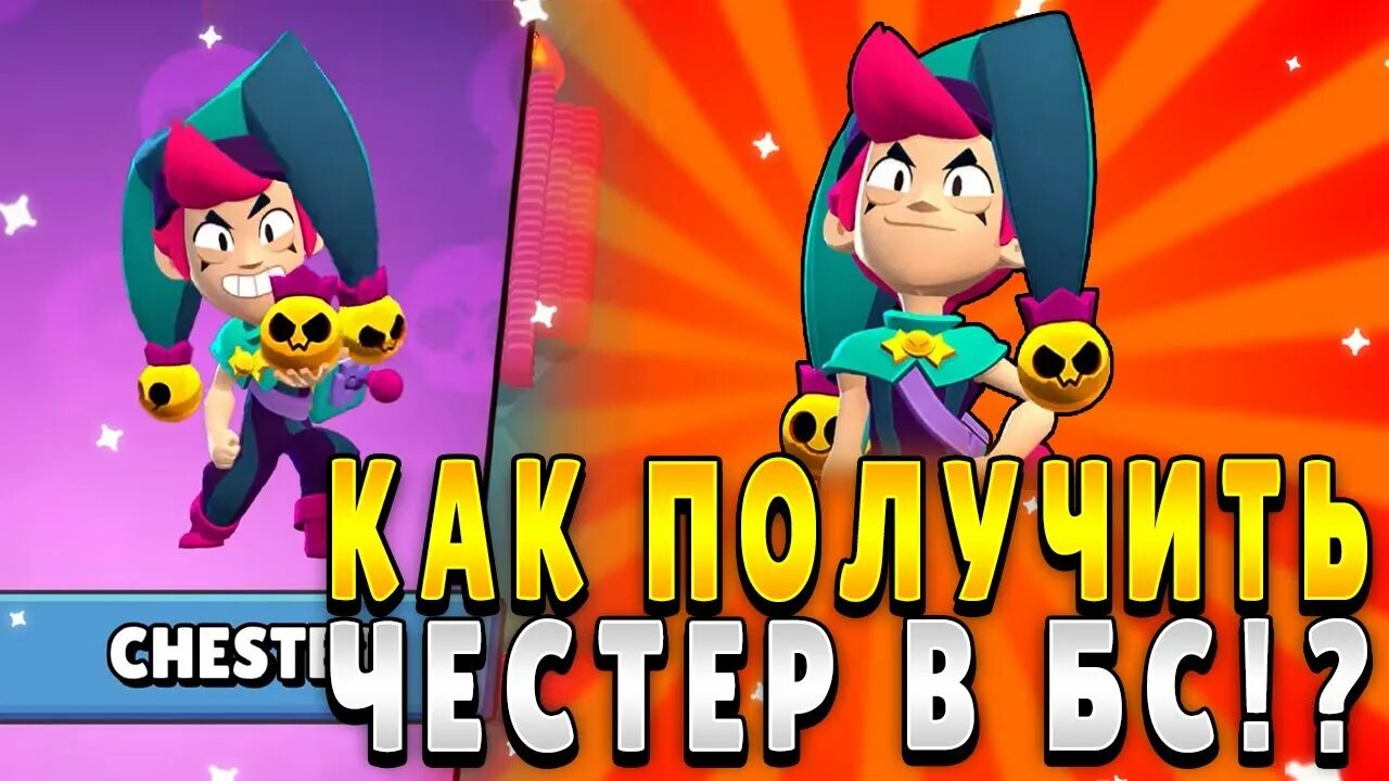 Как получить честера