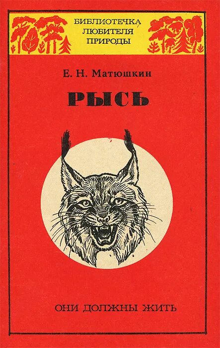 рысь книги. рисса повесть о рыси. книги про рысь для детей. книги про рысь для детей. литературные произведения о рыси.
