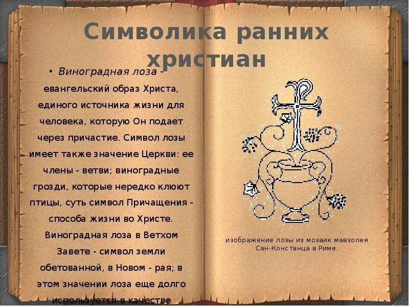 Тату виноград. Виноградная лоза символ христианства. Что означает виноградная лоза. Древний христианский символ. Крест виноградная лоза значение.