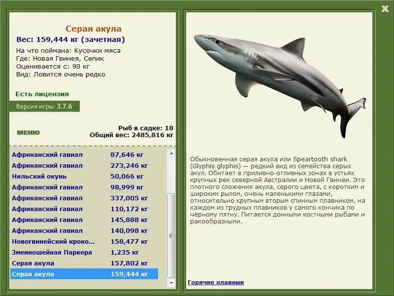 сколько весит большая акула. самая большая акула. вес акулы. вес акулы. мегалодон размеры и вес.