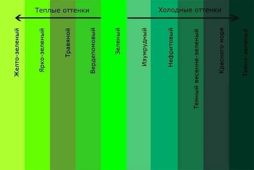 Оттенки зеленого с названиями. Холодные оттенки зеленого. Оттенки зелёного цвета. Яркие и насыщенные оттенки зеленого. Код темно зеленого цвета