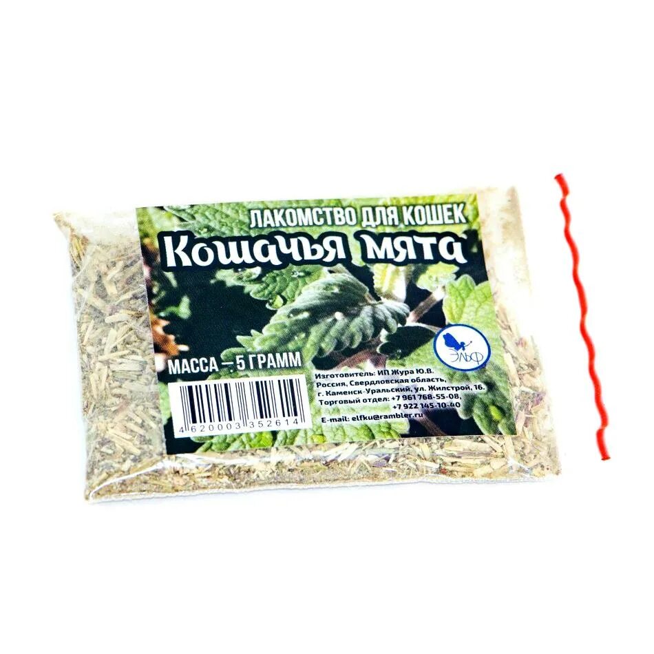 Как дать коту кошачью мяту