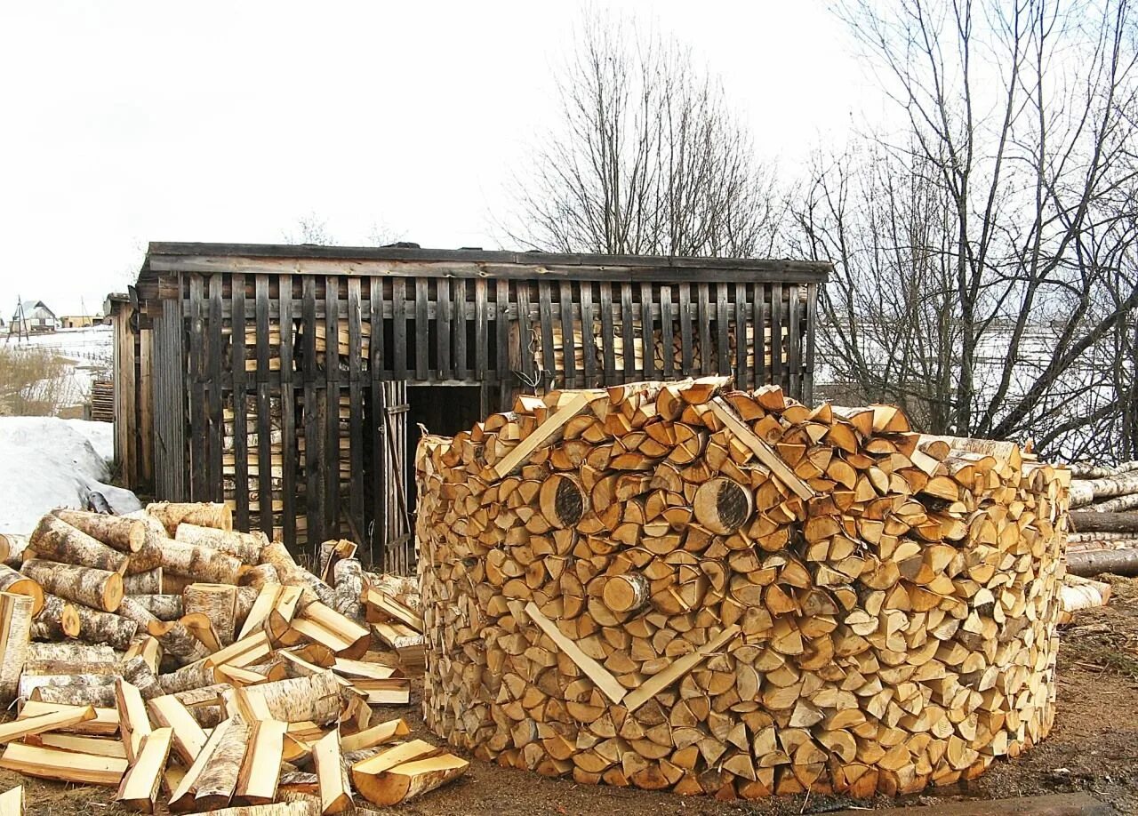 Дрова. Березовые дрова. Заготовка дров. Полено дрова.