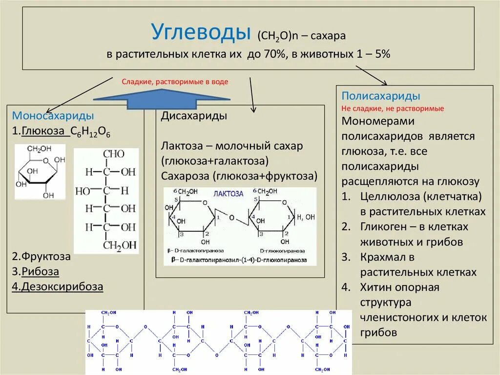 Запасным углеводом в клетках печени является. Химическая структура углеводов биохимия. Углеводы схема строения. Углеводы состав и строение.