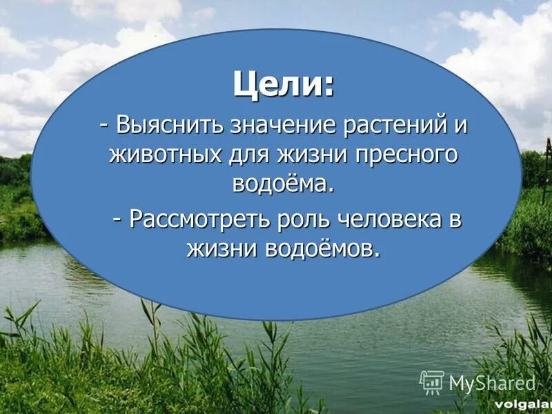 Жизнь в пресной воде. Жизнь в пресных водоемах 4 класс. Водоемы окружающий мир. Жизнь в пресных Водах 4 класс окружающий мир. Окружающий мир жизнь пресных водах