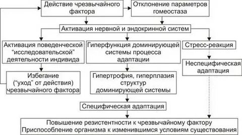 Способы адаптации организма