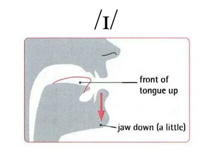 Mouth but