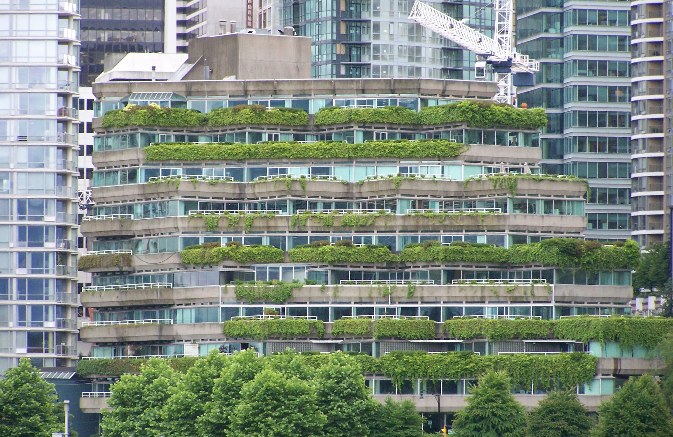 Большое зеленое г. Ванкувер зеленый город. Грин Руф Москва. Ванкувер зеленая урбанистика. Сад на крыше Ванкувер Кайзер центр.