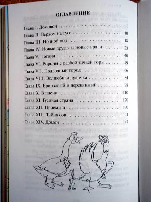 Чудесное путешествие с дикими гусями. Сельма лагерлёф приключения Нильса с дикими гусями. Чудесное путешествие Нильса сколько страниц. Путешествие Нильса количество страниц в книге. План путешествия нильса с дикими гусями