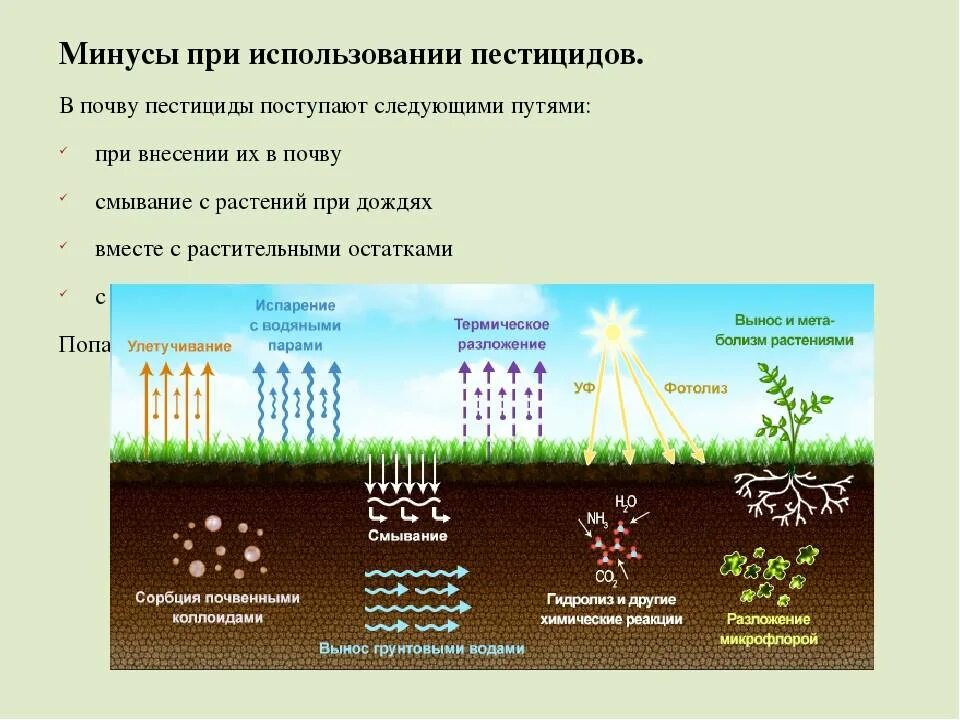 Воздействие пестицидов на почву. Пестициды в почве. Химические удобрения. Загрязнение почвы пестицидами. Влияние окружающей среды на почву