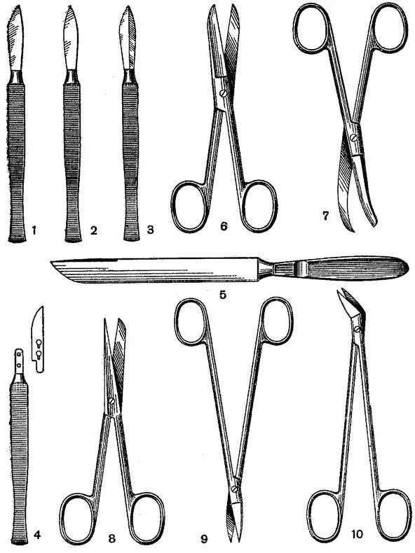 Инструменты для разъединения тканей в хирургии. Инструменты для разъединения тканей топографическая анатомия. Инструменты разъединяющие ткани в ветеринарии хирургии. Инструменты для разъединения тканей в хирургии Ветеринария.