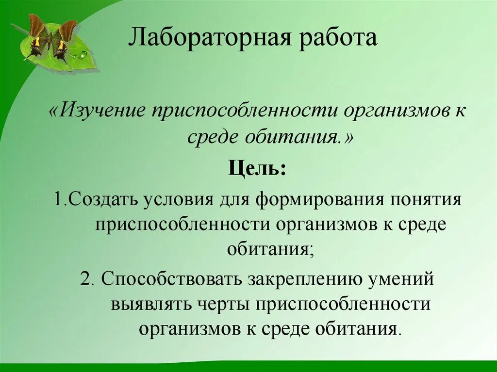 Изучение приспособленности организмов. Лабораторная работа изучение приспособленности. Лабораторная работа приспособленность организмов к среде обитания. Лабораторная работа выявление приспособленности. Лабораторная работа изучение искусственных сообществ