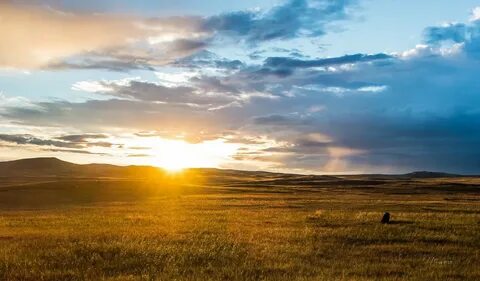 Steppe