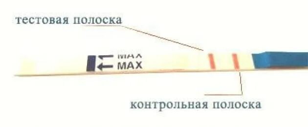 Тест полоски как пользоваться. Контрольная полоска на тесте. контрольная полоска на тесте на беременность. контрольная и тестовая полоска на тесте. тест на беременность обозначения.
