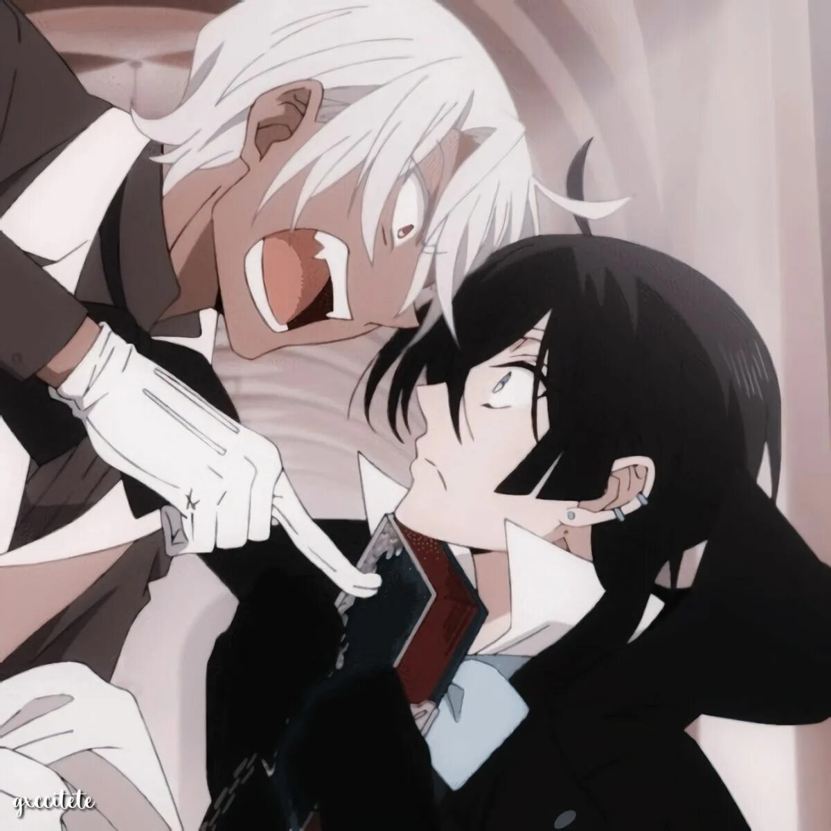 Case of vanitas. Case of vanitas
