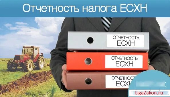 Есхн 6. Единый сельскохозяйственный налог. есхн налог. единый сельхозналог есхн.