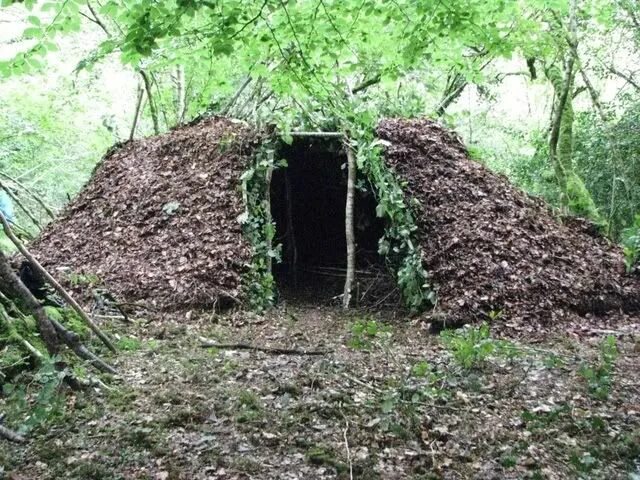 Доберитесь до укрытия. Доберитесь до укрытия. Бушкрафт шалаш. Доберитесь до укрытия. Лесное укрытие бушкрафт.