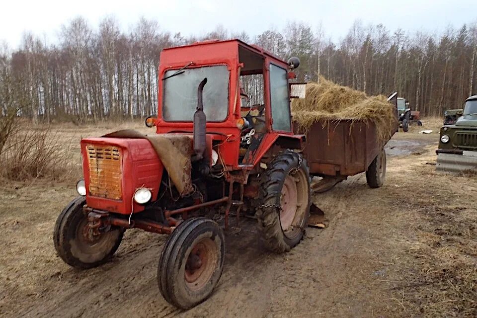 Трактор т30а 80. Мтз 82 синий. Лтз 60ав 2002. Мтз-82 б/у. Авито тверь и тверская область трактора бу.