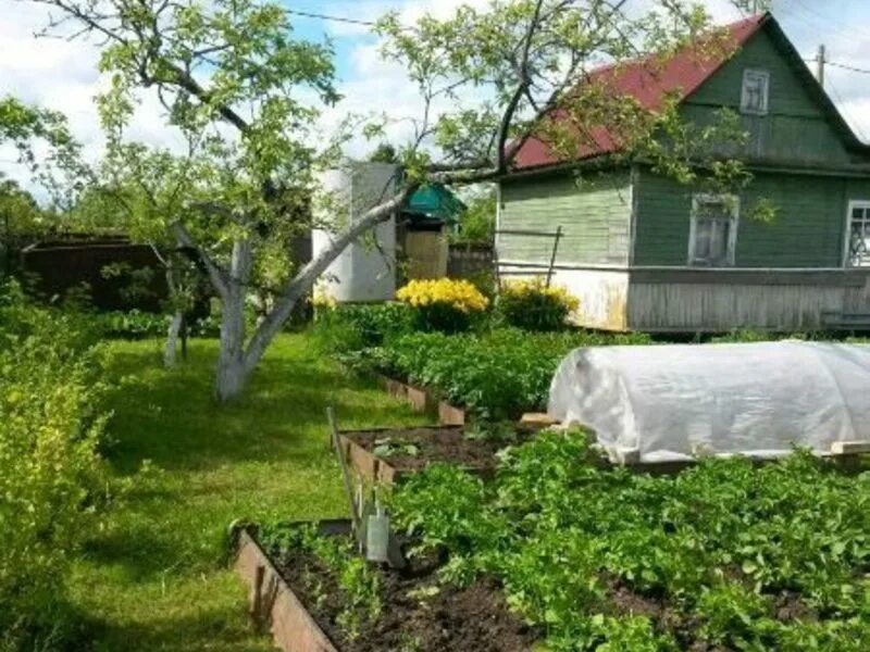 Дача в новгороде. Горыневские дачи. дача в великом новгороде. новгородские дачи. новгородские дачи великий новгород.