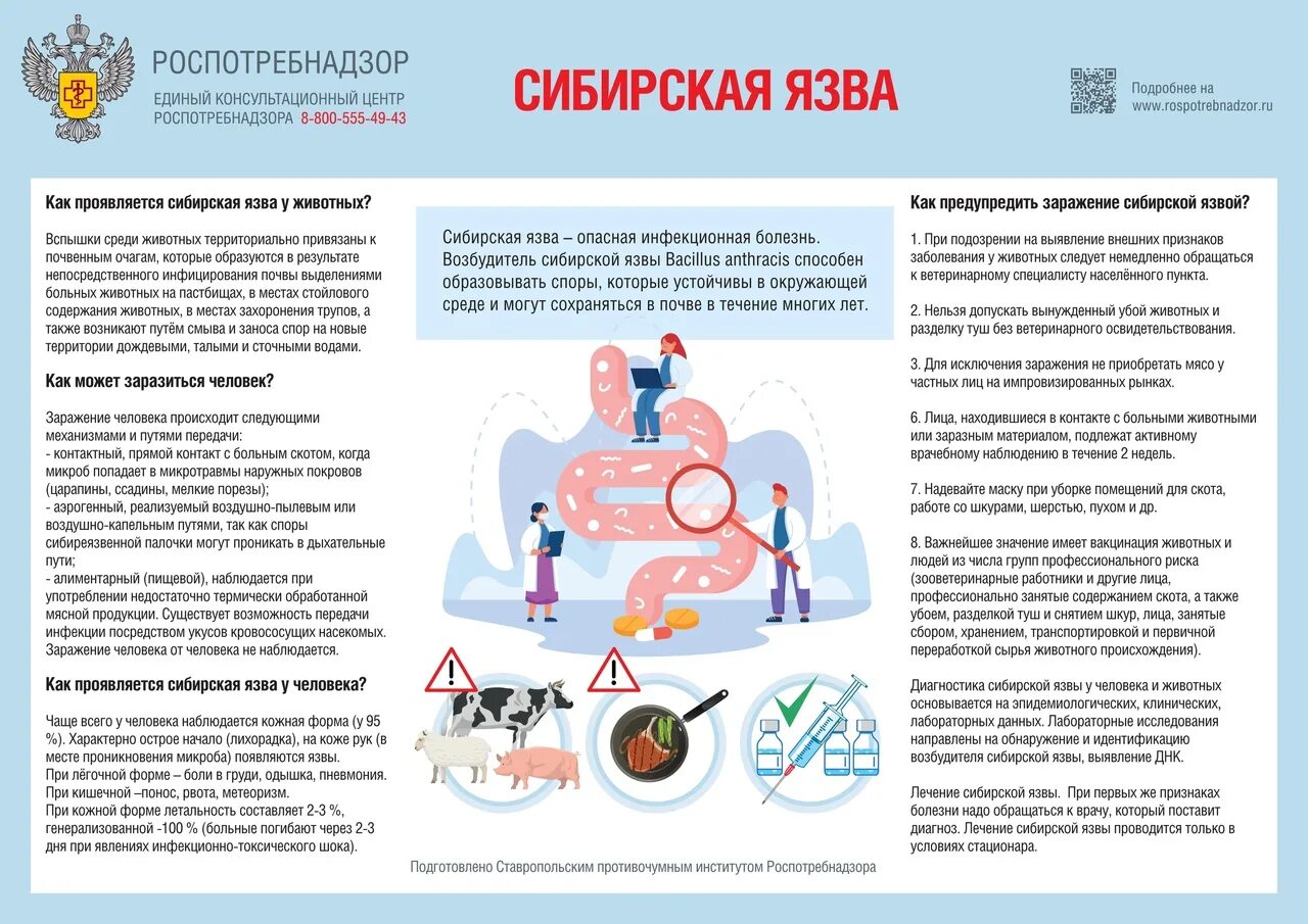 Профилактика сибирской язвы. Сибирская язва пути заражения. Как передается язва