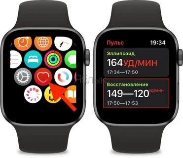 Apple пульс
