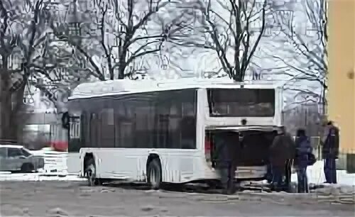 Автобус 454 красное село