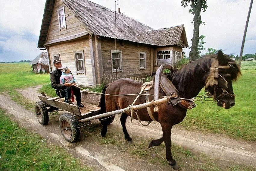 Спокойно телега. Телега деревенская. Лошадь с телегой в деревне. Крестьянин на телеге. Повозка с лошадью в деревне.