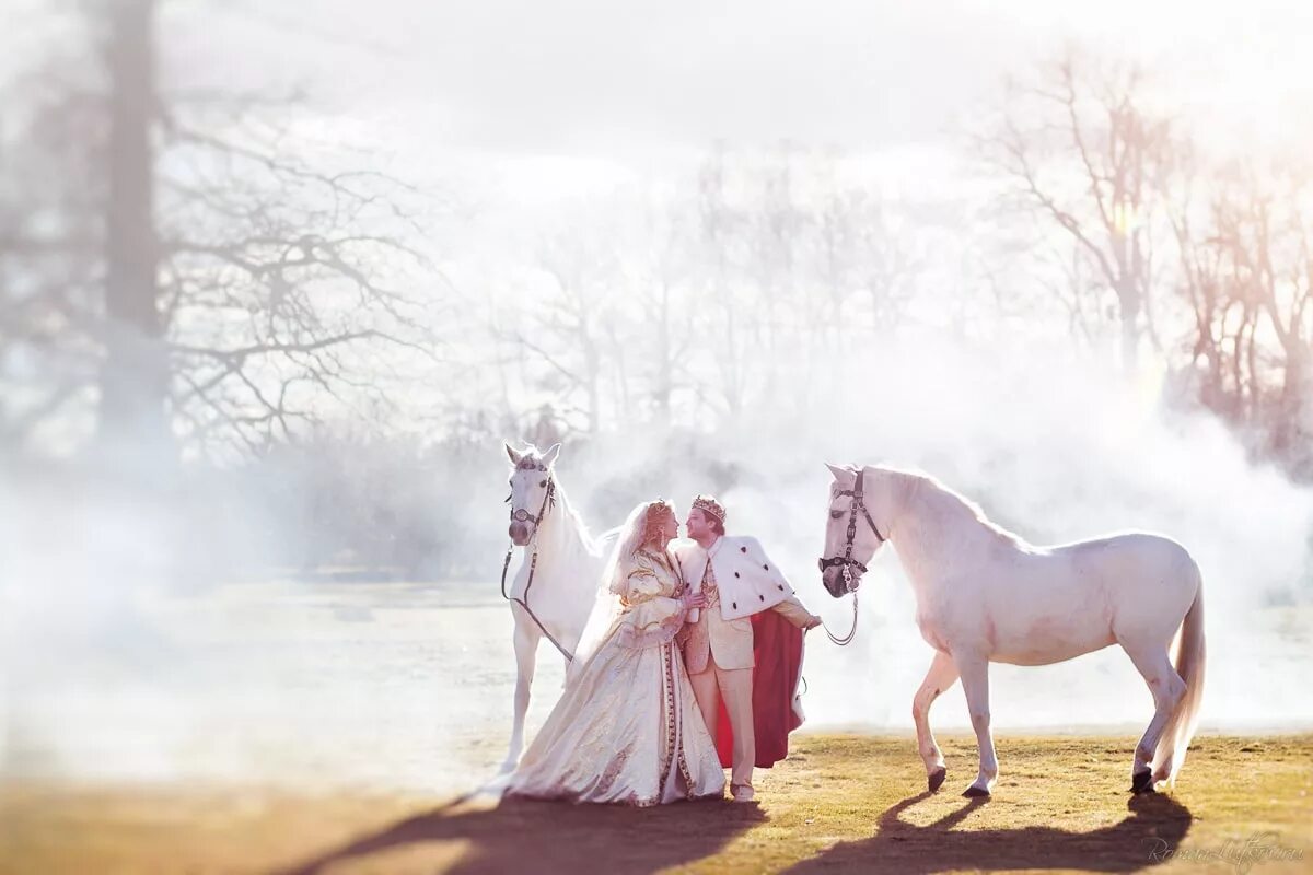 предложение принца. предложение руки и сердца на белом коне. предложение руки и сердца на белом коне. предложение принца. предложение принца.