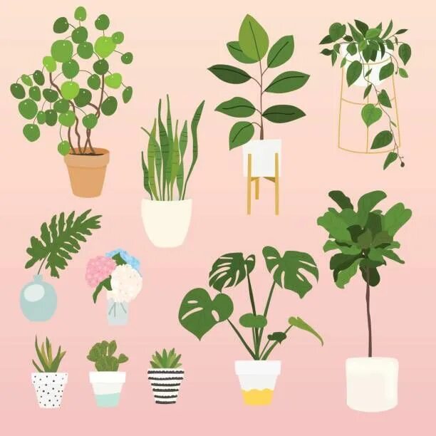 Easy Plants To Draw