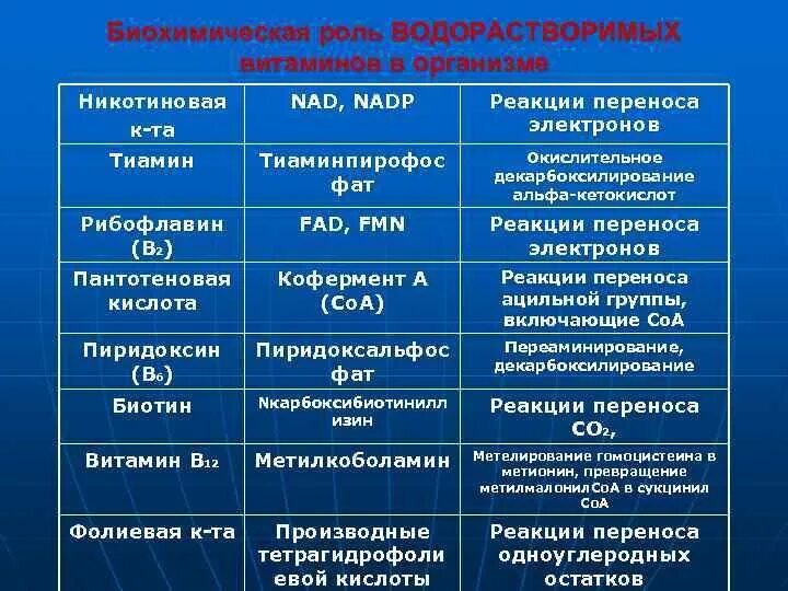 Роль водорастворимых витаминов. Биохимическая роль витамина с. Водорастворимые витамины роль в организме. Биохимическая роль водорастворимых витаминов. Биохимическая роль.