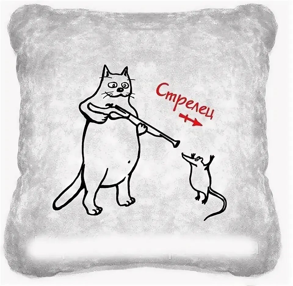 Кот стрелец гороскоп. Кот стрелец. подушка стрелец. кот для стрельцов. принят на подушке стрелец.
