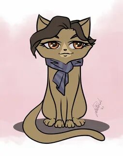 Опять коты