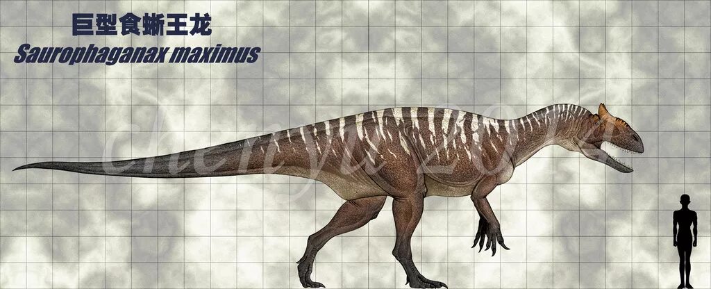 Заурофаганакс. Заурофаганакс динозавр. Заурофаганакс Планета динозавров. Заурофаганакс Maximus. Заурофаганакс рост.