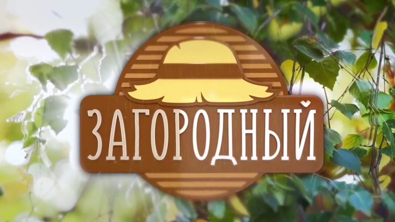 Тв канал загородный. Загородный канал. Загородный логотип. Логотип канала загородный. Канал загородный INT.