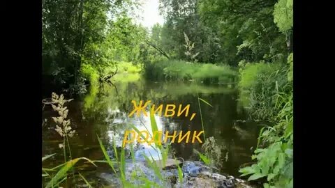 Слушать песню родники