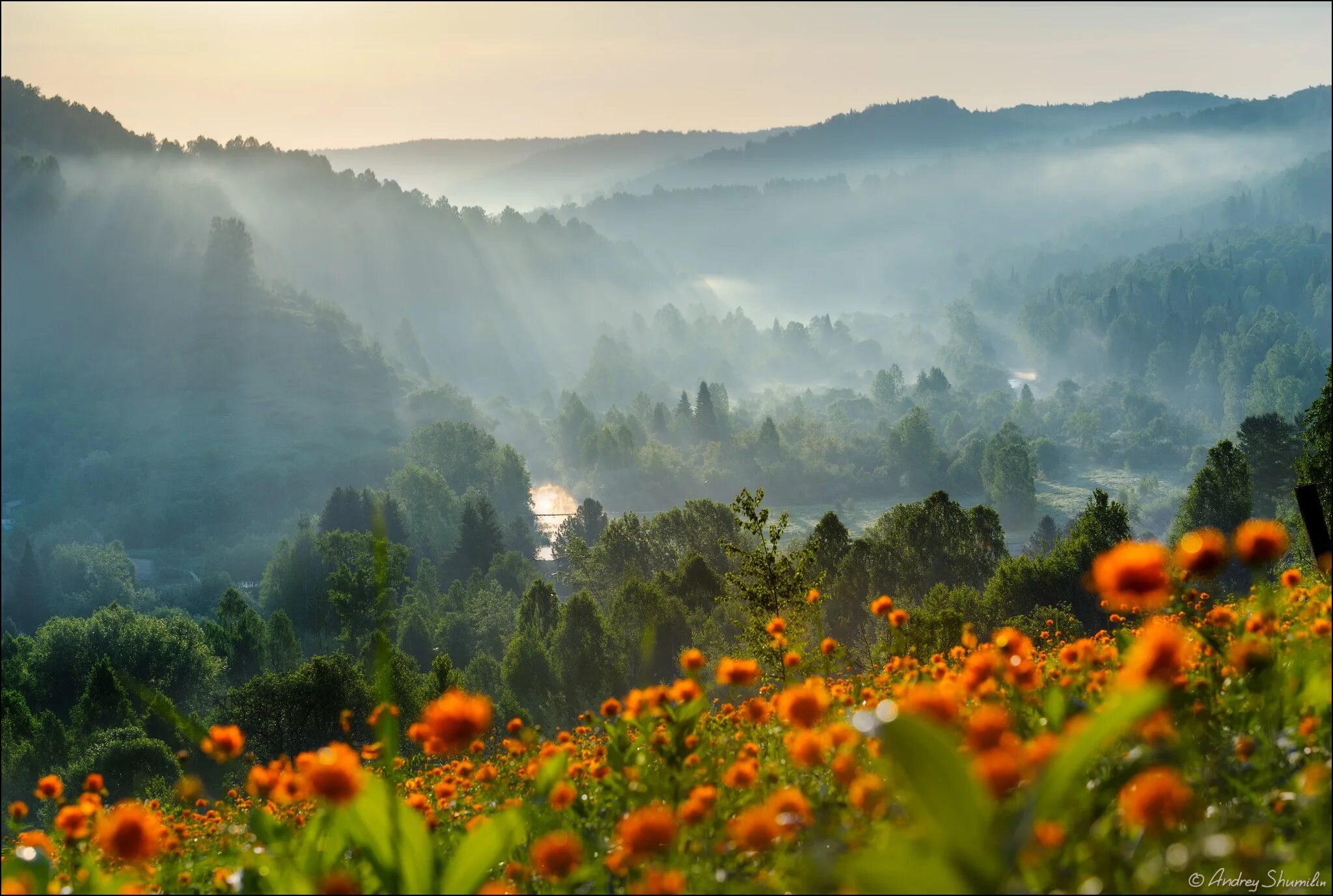 Прекрасное утро природа. Природа рассвет. Утренняя природа. Красивый рассвет. Красота природы.