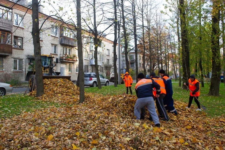 День благоустройства 2021 спб. Субботник 2024 в спб осенью. Субботник 2024 в спб осенью. Субботник в лесу. Субботник 2024 в спб осенью.