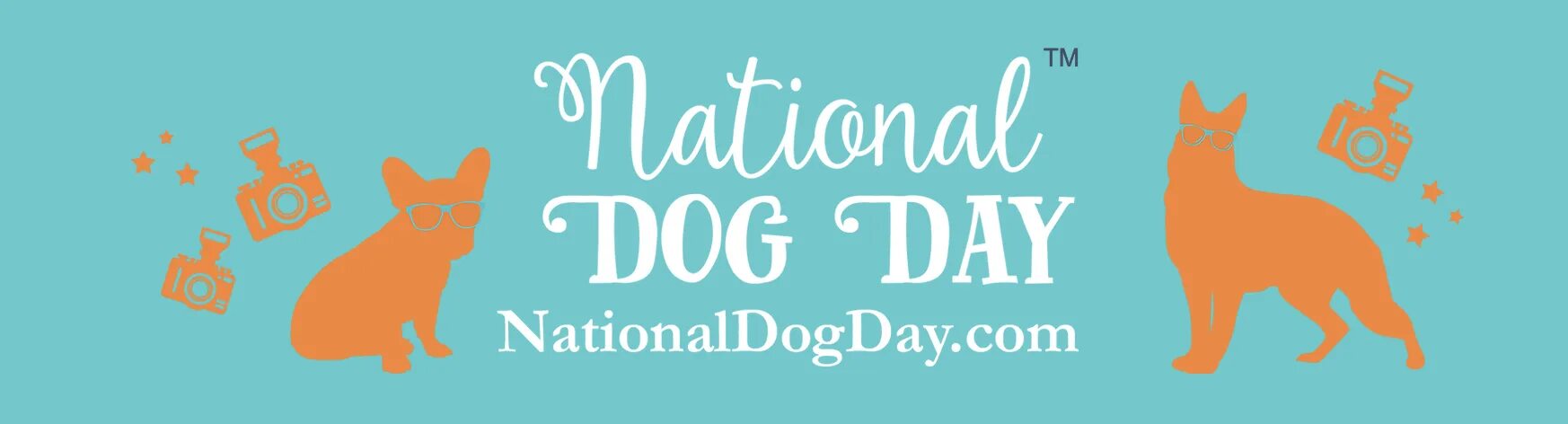 Переведи на русский dog day. День собак (National Dog Day) - США. Дог дей дог дей. Dog Day картинки. Dog Day блоггер.