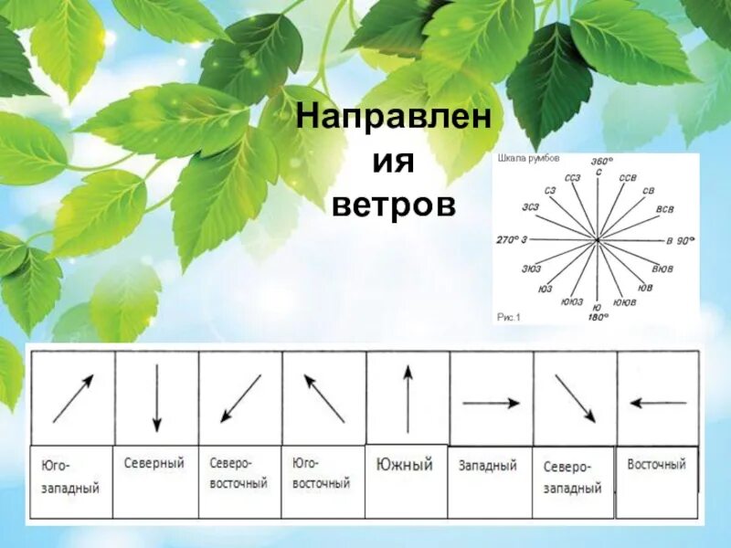 Направление ветров география 6 класс. Ветер презентация 6 класс. Направление ветра география. Ветер география 6 класс презентация. Какое направление имеет северный ветер