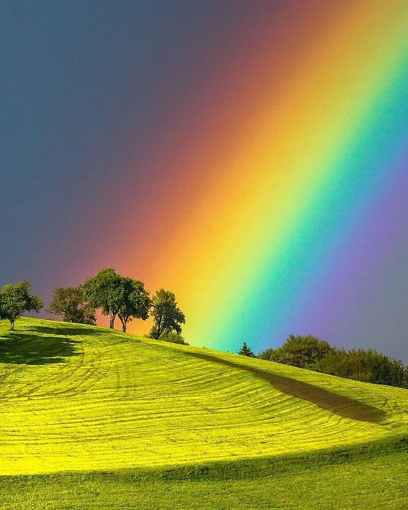 открытки летнего настроения. радуга мультяшная. добрая радуга. радуга добра. добрая радуга.