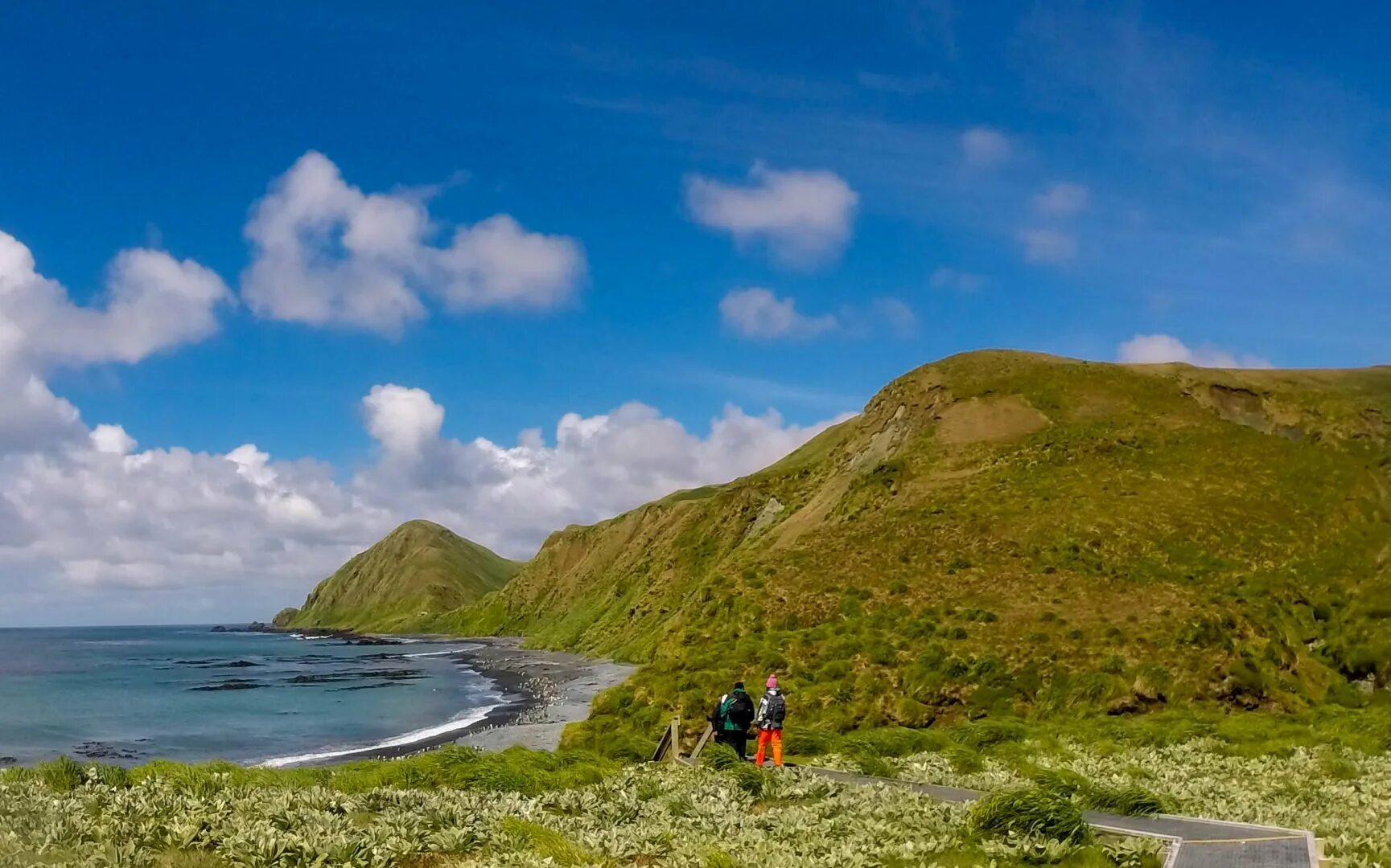 Spot island. Остров Маккуори субантарктические острова. Маккуори Австралия. Остров Маккуори Антарктида. Остров Маккуори ЮНЕСКО.