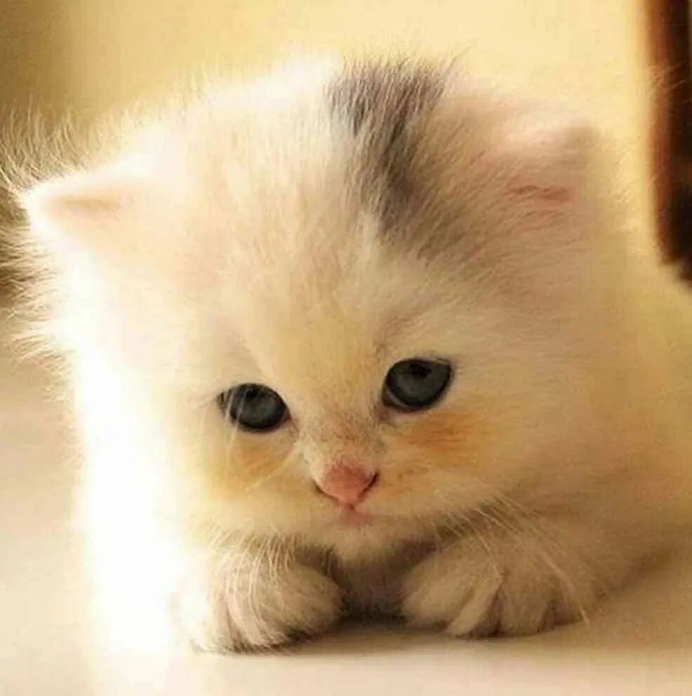 1 милую