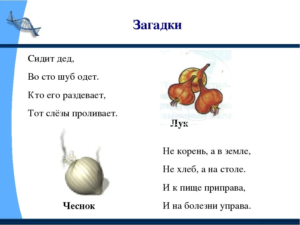 Загадки для детей. Загадки и отгадки. Загадки с ответами. Короткие загадки. Напиши 5 загадок