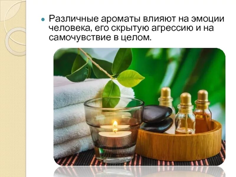 влияние запахов на человека. влияние эфирных масел на человека. влияние запахов на человека. как ароматы влияют на человека. растение с запахом.