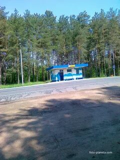 Погода в боровке