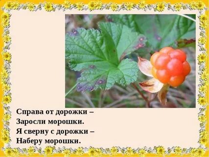 Билеты по карте морошка