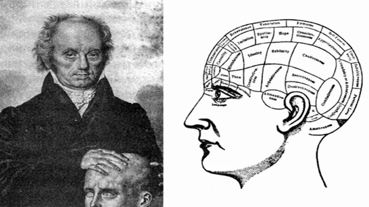 Галля. Френология франца галля. Галь психология. Галь психология. Френология френсис галь.